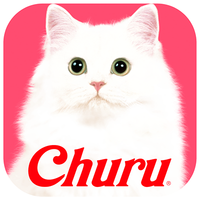 Logo de churulandia para volver a la pagina de inicio